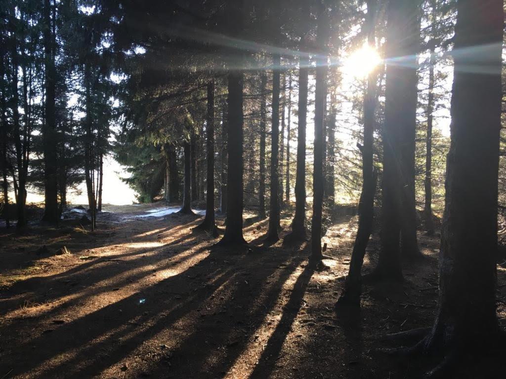 Apartmany Forest Kovářská Zewnętrze zdjęcie